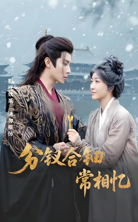 分钗合钿常相忆(全集)