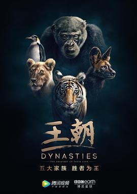 王朝 第一季 国语版(全集)