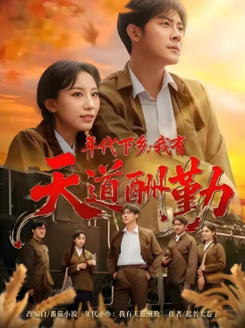 年代下乡我有天道酬勤(全集)