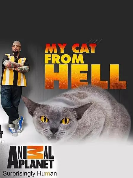 家有恶猫 第七季(全集)