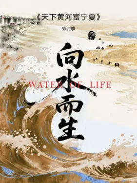 天下黄河富宁夏 第四季(全集)