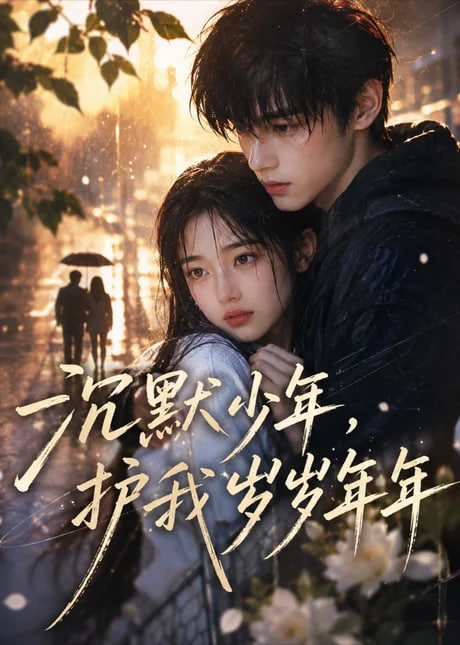 沉默少年，护我岁岁年年(全集)